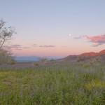 First light and moonset near the Cottonwood entrance of JTNP