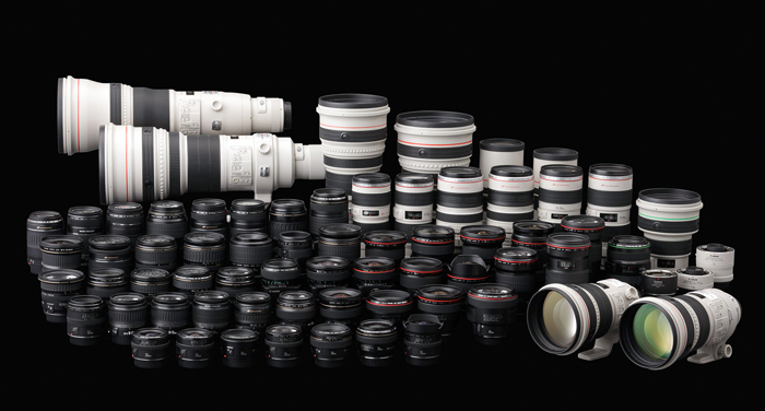 A full-frame DSLR would be a fine choice for someone who already owns multi-platform AF lenses, perhaps from a 35mm SLR system. While the Sony and Nikon cameras do accept the smaller DT and DX series, there is a serious drawback when such lenses are used, as discussed in the text.  