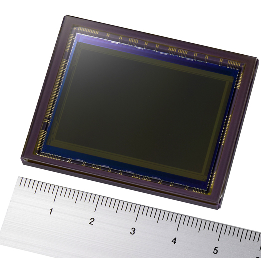 An increasing number of DSLRs are employing an oversized sensor, the same size as a frame of 35mm film. As we'll see, this aspect can provide some significant benefits but also some drawbacks. 