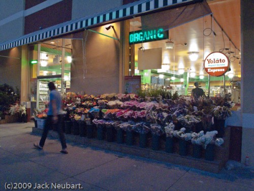 High ISO noise. At ISO 1600, color noise was so pronounced as to be deafening. It's readily apparent in the sidewalk. Copyright  ©2009 Jack Neubart. All rights reserved.