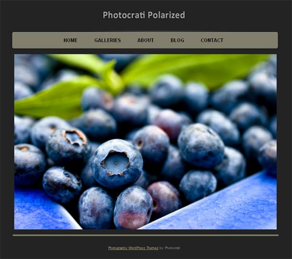 10 Professional Premium WordPress Themes for Photographers