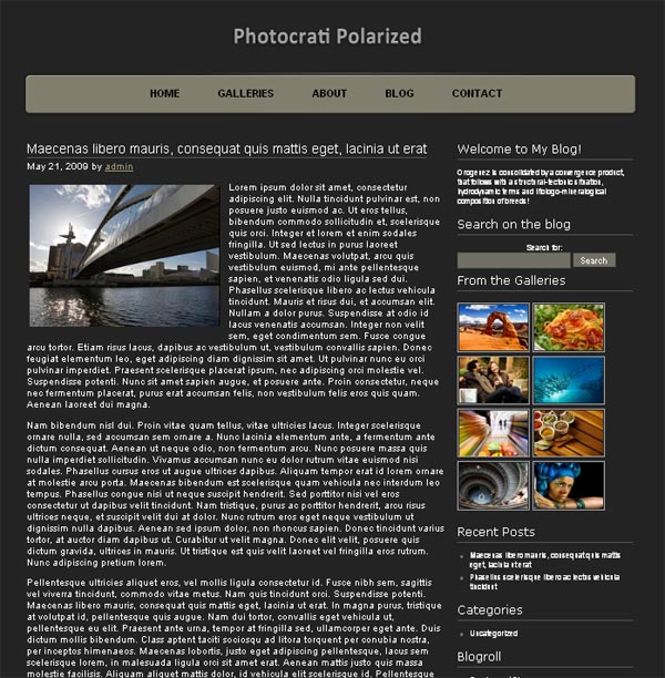 10 Professional Premium WordPress Themes for Photographers