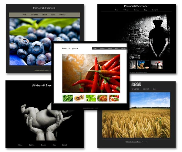 Photocrati Themes Package