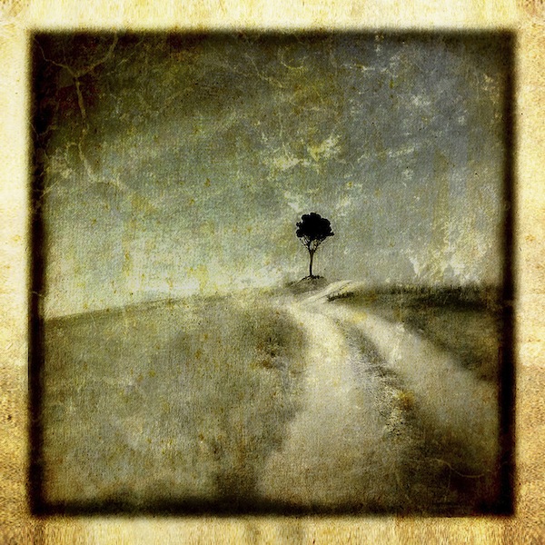 Lone-Tree