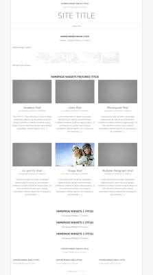 photocrati-theme-homepage-widgets