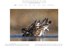 Wordpress Themes for Photographers - David Newton