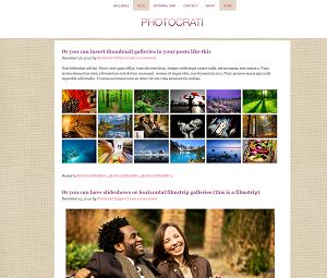wordpress photography themes