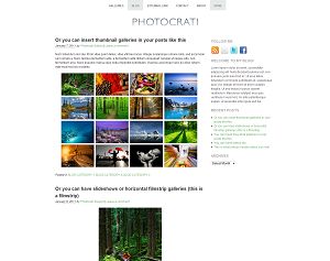 wordpress templates for photographers