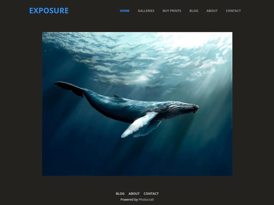 ExposureTheme