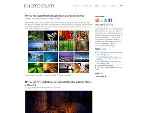 wordpress photography themes