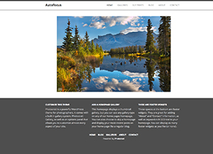 Autofocus Theme