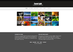 Catchlight Theme