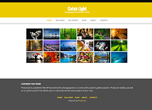 Catchlight Yellow