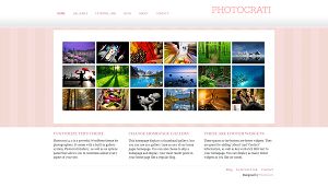 prime photo gallery themes