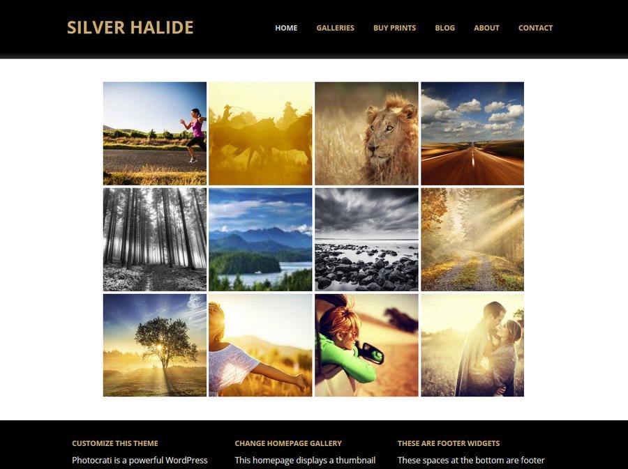 Silver Halide 3