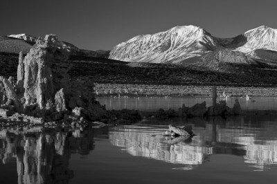 Final B&W Conversion