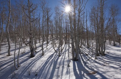 Sunstar, Conway Summit