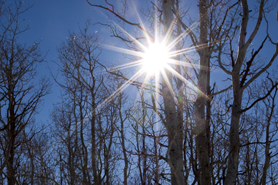 Sunstar Detail