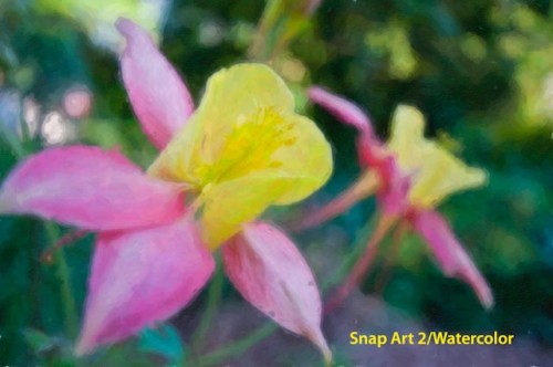 Snap Art 2. Photos  ©2009 Jack Neubart. All rights reserved.
