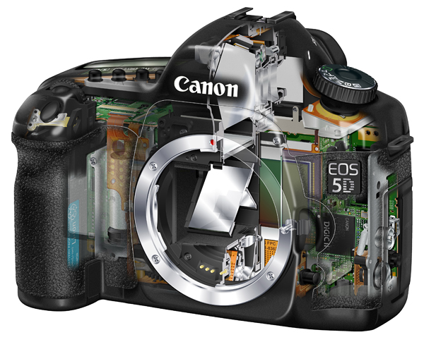 Excluding mention of the Kodak DSC-14n (00) which received mediocre reviews, the original EOS 5D was the first "relatively affordable" (00 at the time) in the full-frame DSLR category. This was the first camera of its type to target consumers instead of professional photographers. (c) 2009 Peter K. Burian