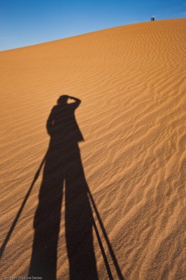 Dunes Photographers