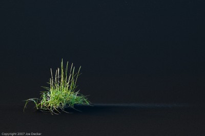 Grasses and Volcanic Alluvium.  The path of grasses doensn't lend itself to perfect placement by the Rule of Thirds, instead, we balance making the image more dynamic with making sure the grasses have space around them.