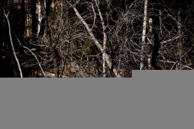 Dark Chaos, Chuska Mountains, Navajo Nation