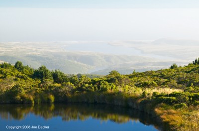 Pond and Drake's Estero, Mt. Vision, Pt. Reyes NS, California