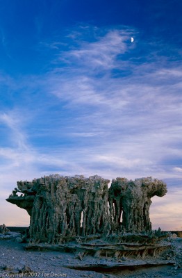 Sand Tufa