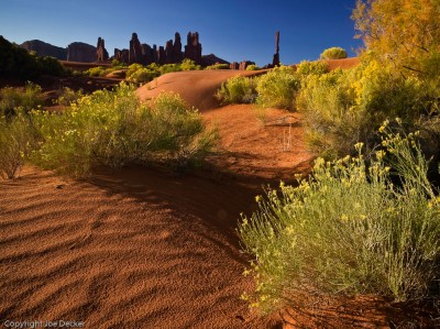 Red Morning Dunes, Monument Valley