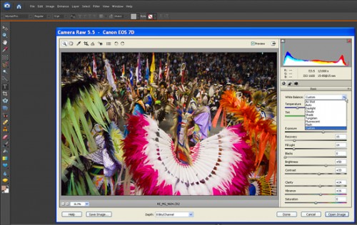All versions of Photoshop Elements - since version 6 - can support all of the latest DSLRs' RAW formats. Of course, with newer cameras, that may require installing the latest version of the Adobe Camera Raw plug-in.  ©2009 Peter K. Burian