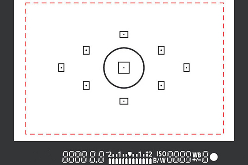 If numerals blink in your camera's viewfinder, be sure to change the ISO and the shutter speed or the aperture until the warning signal stops. You should then be able to get a good exposure. Photo Courtesy of Canon Canada