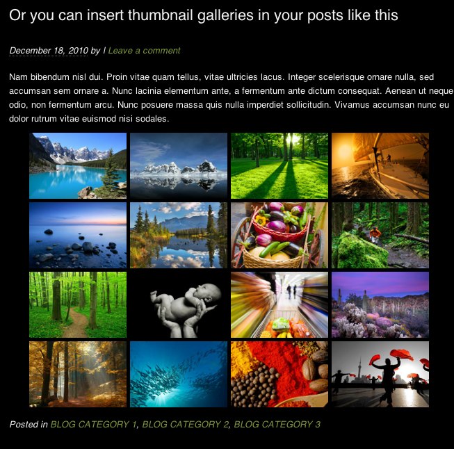 photocrati-gallery-post