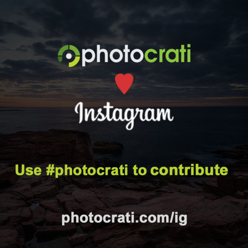 instagram-roundup