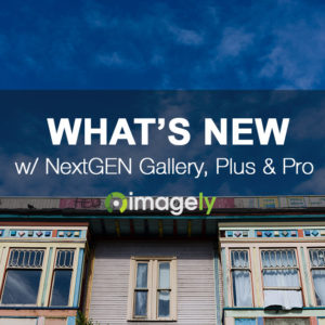 NextGEN Pro’s New Cart Menu Icon & Direct To Pro Lightbox Features