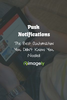 Push Notifications, The Best Automation You Didn’t Know You Needed