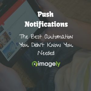 Push Notifications, The Best Automation You Didn’t Know You Needed