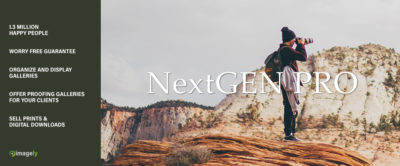 A New Look for NextGEN Gallery