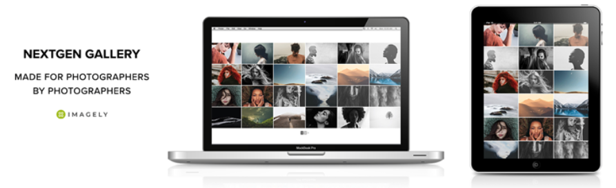 NextGEN Gallery is the most popular WordPress photography plugin. It's free and lets you add a variety of image gallery and album displays to your site: