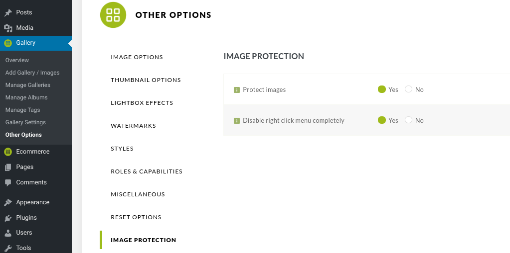 This is the premium version of NextGEN Gallery, which we mentioned earlier. After you install and activate the plugin, you can find the image protection features under Gallery, Other Options, Image Protection: