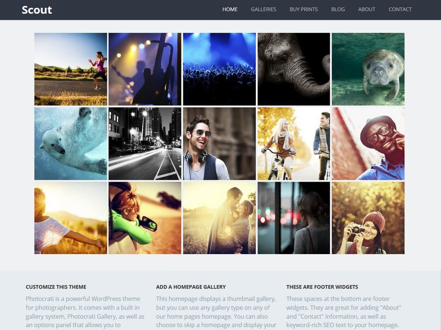 Scout WordPress Theme